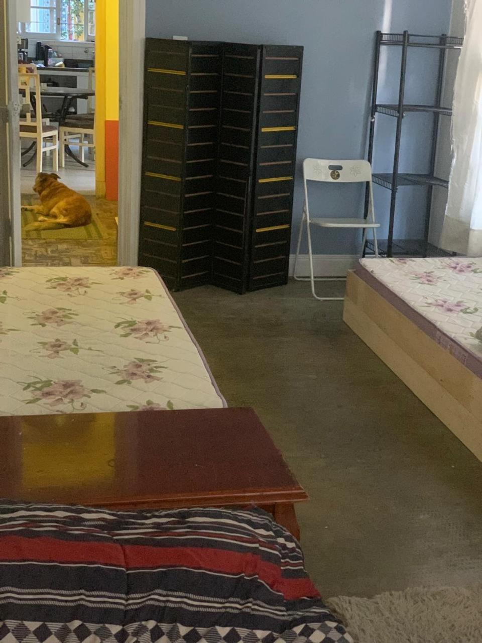 Hostel Espaco Colaborativo Coexistir São Paulo Exteriér fotografie